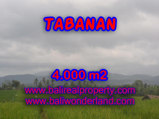 Land in Bali for sale, Terrific view in TABANAN BARAT – TJTB084