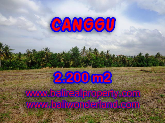 Land for sale in Bali, Fantastic view in Canggu Bali – TJCG128