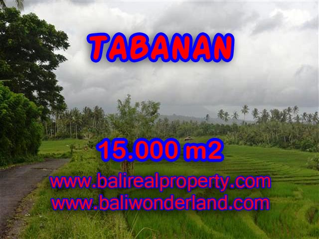 Astounding Property in Bali for sale, Mountain and paddy field view land in Tabanan Bali – TJTB094