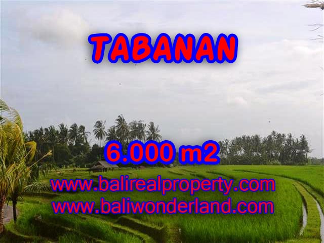 Property in Bali for sale, Astonishing land for sale in Tabanan Bali – TJTB093