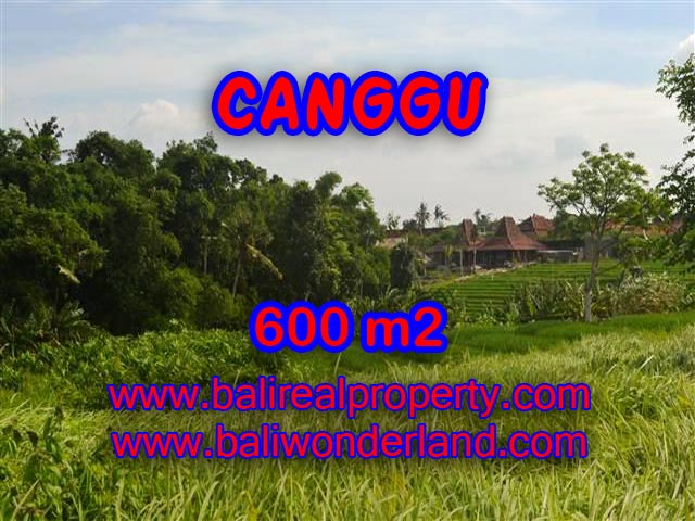 Magnificent Land for sale in Bali, paddy view in Canggu Bali – TJCG130