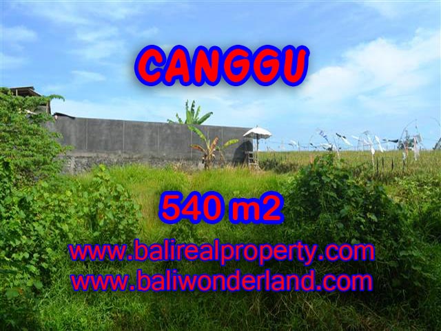 Land for sale in Bali, exceptional view in Canggu – TJCG131
