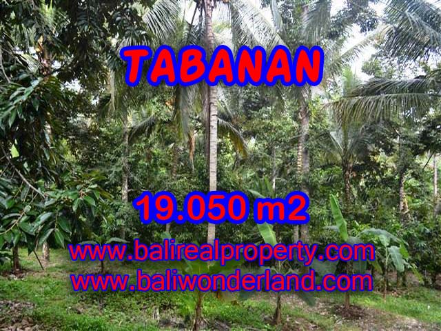Property in Bali for sale, Astonishing land for sale in Tabanan Bali – TJTB092