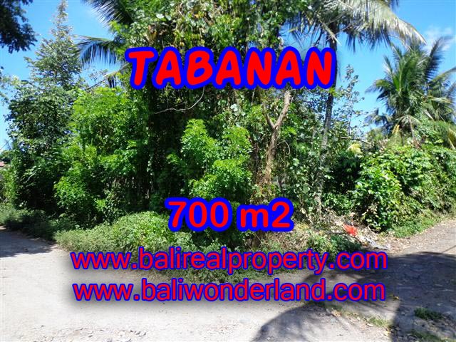 Land in Tabanan Bali for sale, Exotic view in Tabanan – TJTB107