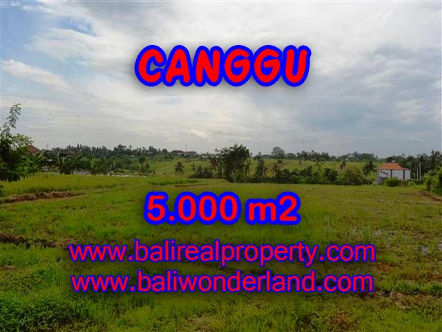 Land for sale in Bali, exotic view in Canggu Babakan Bali – TJCG132