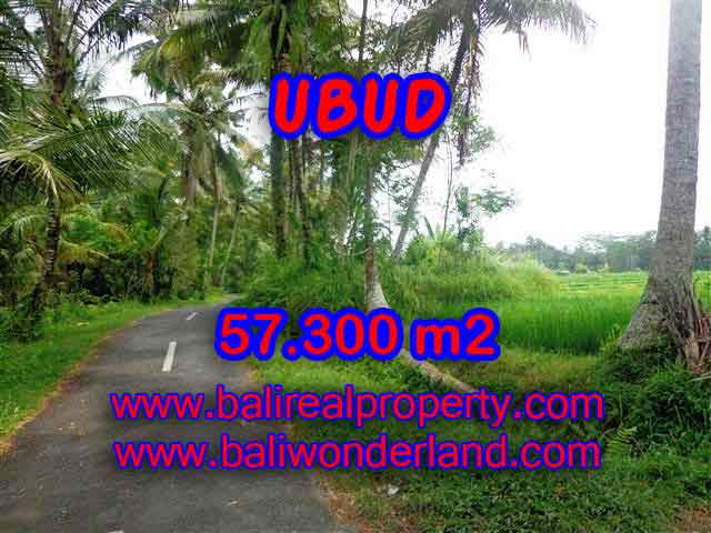 Exotic LAND FOR SALE IN UBUD Bali, beautiful rice paddy view in Ubud Tampak siring– TJUB377