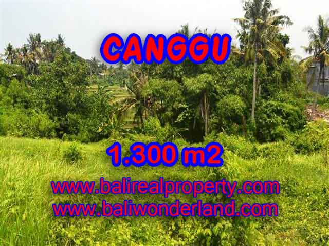 Land for sale in Bali, Fantastic view in Canggu Batu bolong – TJCG136