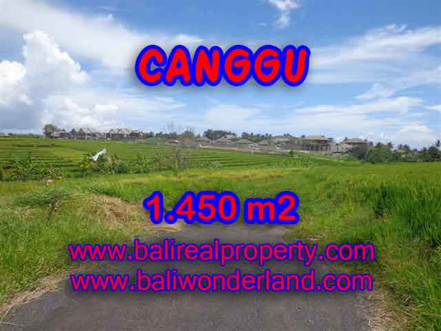 Land for sale in Bali, spectacular view in Canggu Bali – TJCG137