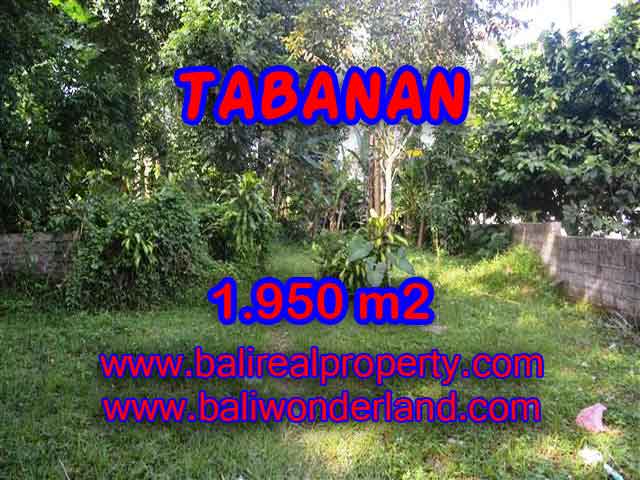 Magnificent Land for sale in Bali, green lush garden view in Tabanan Baturiti Bali – TJTB130