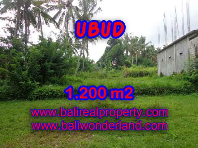 Land for sale in Bali, spectacular view in Ubud Bali – TJUB399