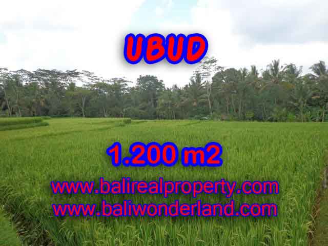 Land in Bali for sale, Stunning view in Ubud Bali – TJUB400