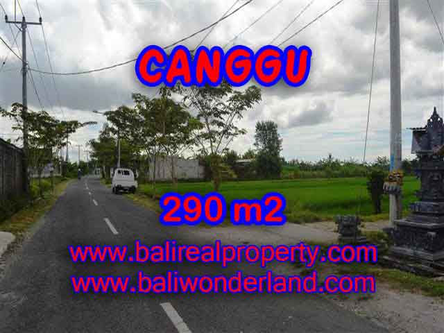 Land for sale in Bali, magnificent view Canggu Bali – TJCG141