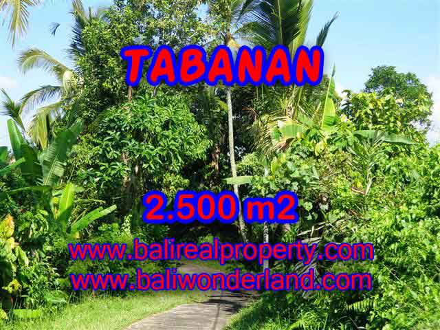 Land for sale in Tabanan, Magnificent view in Tabanan Penebel Bali – TJTB122