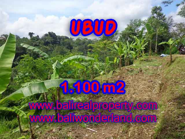 Beautiful Land for sale in Bali, Ricefield view by valley in Ubud Bali – TJUB407