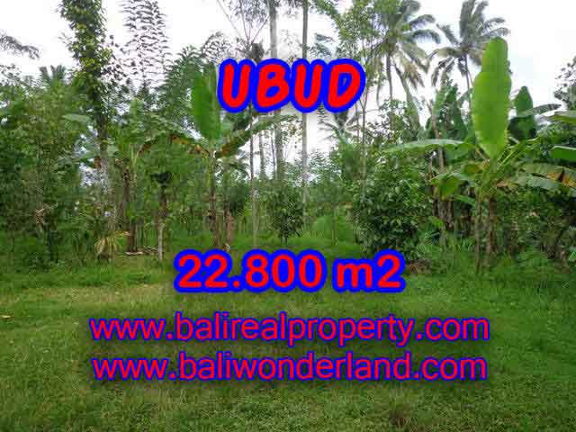 Outstanding Property for sale in Bali, land for sale in Ubud Bali – TJUB409