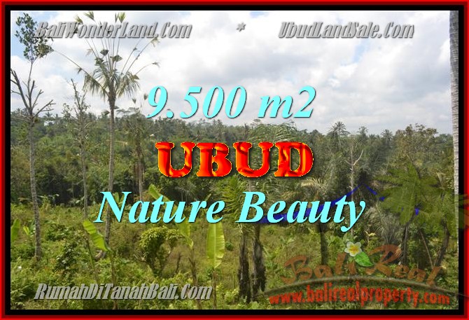 Land in Ubud Bali for sale, Exotic view in Ubud Payangan – TJUB430