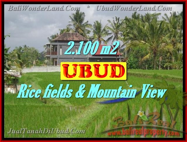 Excellent Property for sale in Bali, land for sale in Ubud Bali  – TJUB423