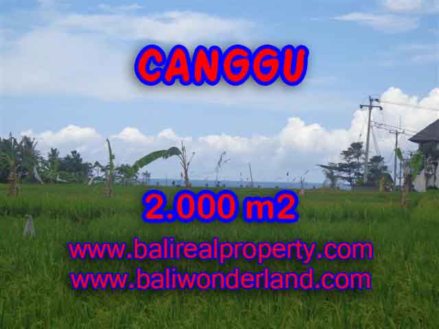 Stunning Land for sale in Bali, Rice fields view closed to the beach in Canggu Bali - TJCG140