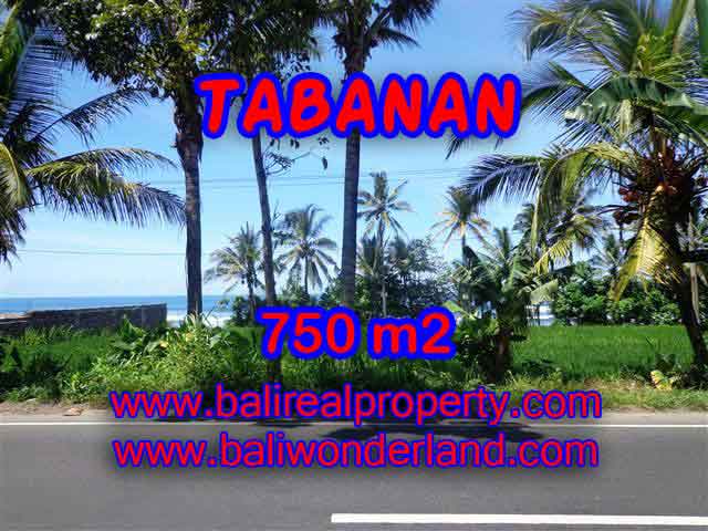 Magnificent Property for sale in Bali, land for sale in Tabanan Bali – TJTB105