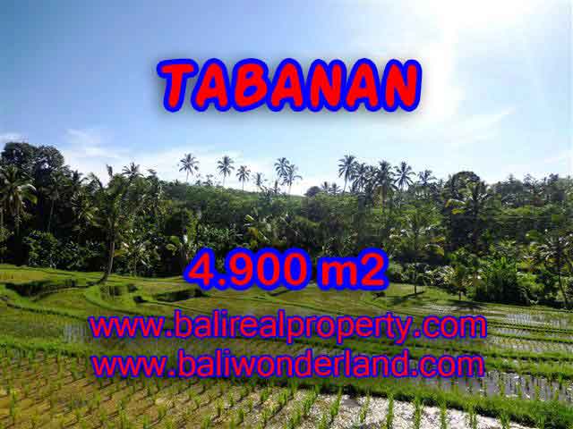 Land for sale in Tabanan Bali, Magnificent view in Tabanan Penebel – TJTB111