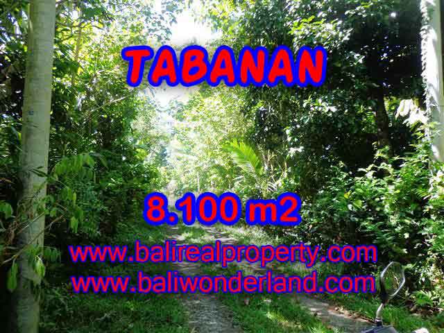 Land in Tabanan Bali for sale, nice view in Tabanan Penebel Bali – TJTB113