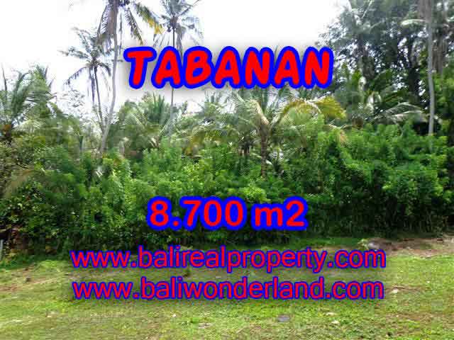 Exotic LAND FOR SALE IN TABANAN Bali, Garden and river view in Tabanan Selemadeg – TJTB115