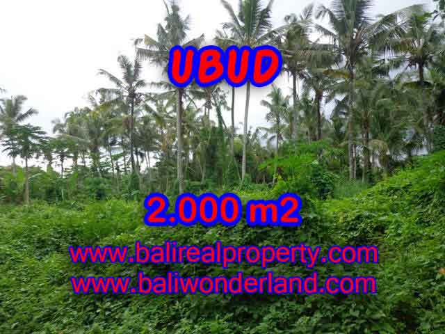 Fantastic Land for sale in Bali, garden view by the small river in Ubud Center– TJUB397