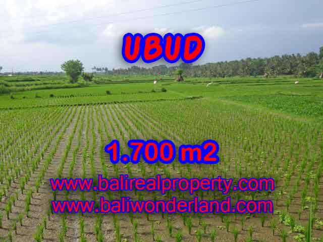 Land for sale in Bali, Fantastic view in Ubud Center – TJUB398