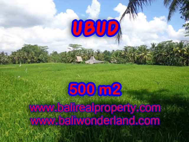 Stunning Land for sale in Bali, Ricefields view in Ubud Bali - TJUB402