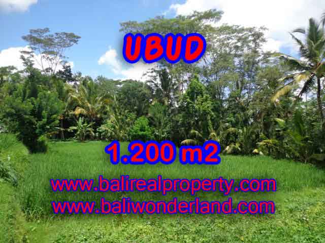 Land for sale in Bali, wonderful view in Ubud Bali – TJUB404