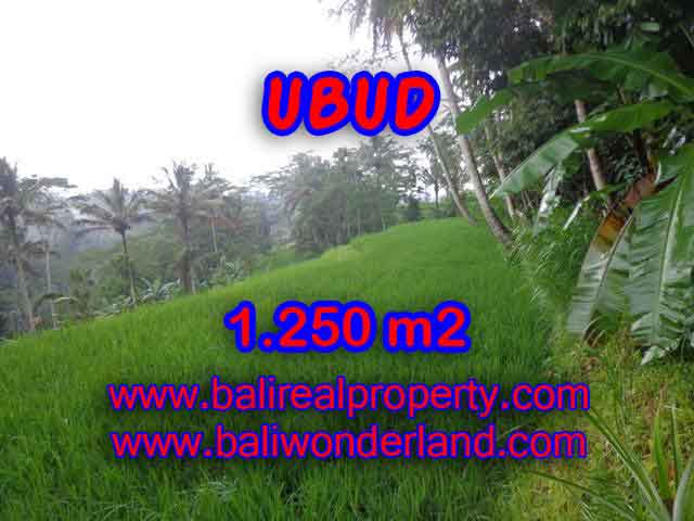 Land in Bali for sale, great view in Ubud Bali – TJUB405