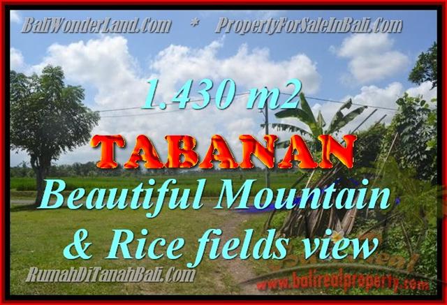 Beautiful Land for sale in Bali, Mountain & Rice fields view in Tabanan Bali – TJTB145