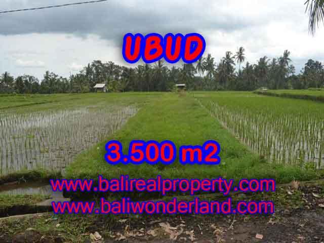 Land in Bali for sale, extraordinary view in Ubud Pejeng – TJUB395
