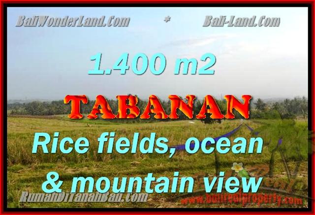 Land in Bali for sale, great view in Tabanan Bali – TJTB143