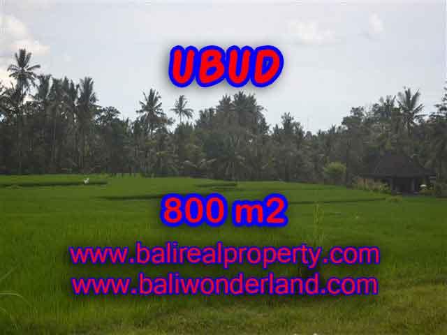 Land in Bali for sale, fantastic view in Ubud Bali – TJUB396