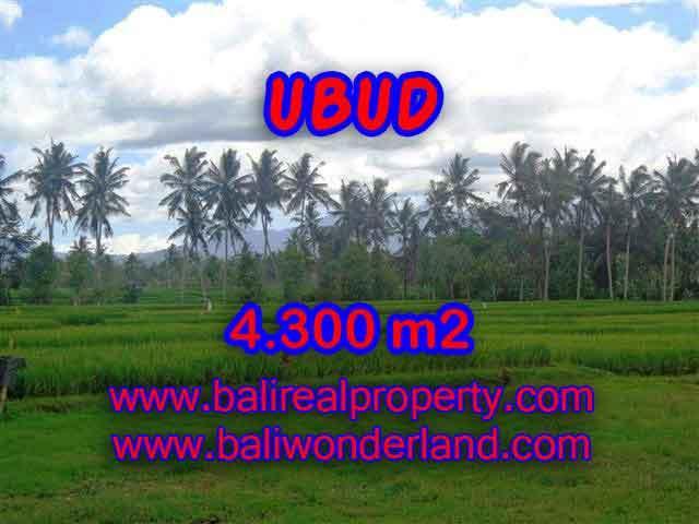 Land in Ubud Bali for sale, Exotic view in Ubud Center – TJUB370