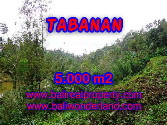 Land in Bali for sale, Outstanding view in Tabanan selemadeg Bali – TJTB139