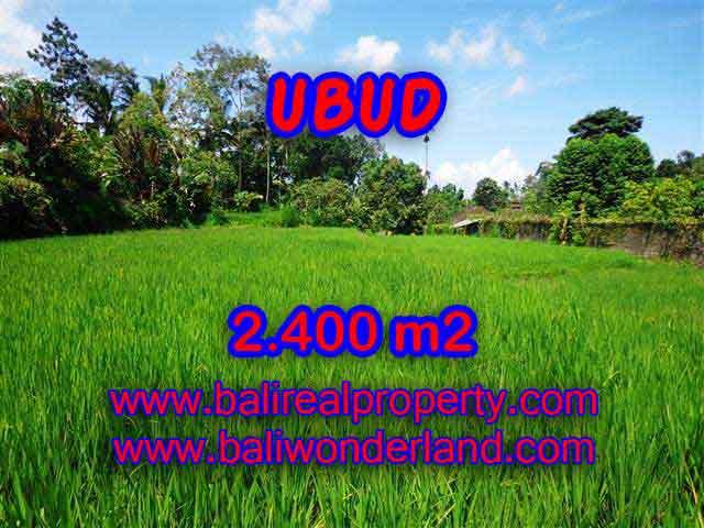 Land in Bali for sale, astounding view in Ubud Bali – TJUB390