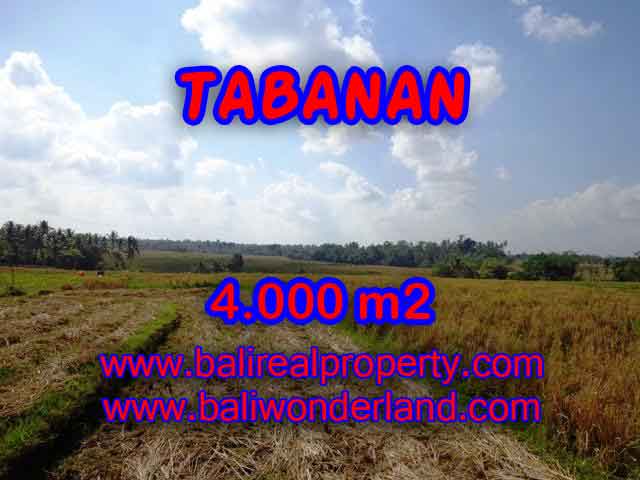 Land for sale in Bali, exotic view in Tabanan selemadeg Bali – TJTB132