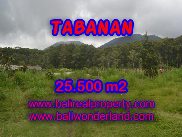 Beautiful Land for sale in Bali, forest and valley view in Tabanan Bali – TJTB085