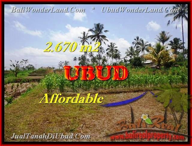 Beautiful PROPERTY LAND IN Ubud Tegalalang BALI FOR SALE TJUB451