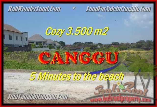 FOR SALE Exotic PROPERTY LAND IN Canggu Kayutulang TJCG165