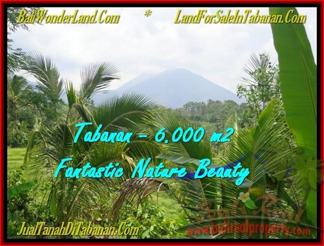 Exotic LAND IN Tabanan Penebel BALI FOR SALE TJTB182