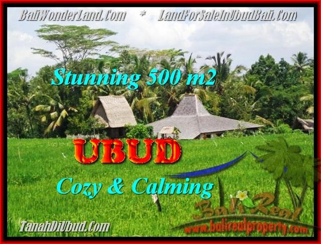 FOR SALE Exotic LAND IN Ubud Payangan TJUB459