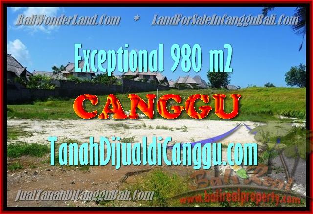 FOR SALE LAND IN CANGGU BALI TJCG152