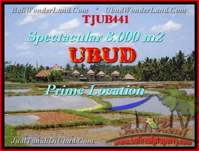 LAND SALE IN Sentral Ubud TJUB441