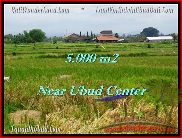 Affordable 5,000 m2 LAND IN UBUD FOR SALE TJUB474