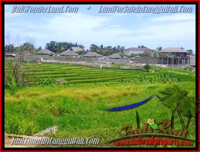FOR SALE Affordable PROPERTY LAND IN Canggu Cemagi BALI TJCG137