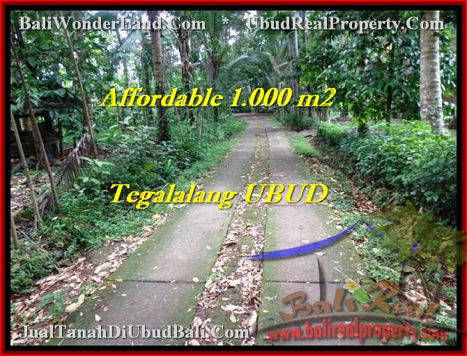 Affordable UBUD 1,000 m2 LAND FOR SALE TJUB467