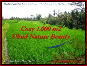 Magnificent PROPERTY LAND FOR SALE IN UBUD TJUB478
